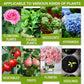 💥Cumpără 1 și primești 2 gratis🌿Supliment pentru stimularea creșterii plantelor🌈