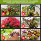 💥Cumpără 1 și primești 2 gratis🌿Supliment pentru stimularea creșterii plantelor🌈