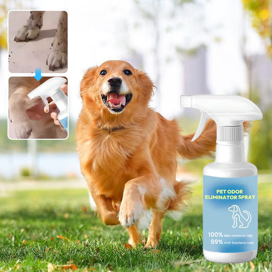 🐕Spray eliminujący zapachy zwierząt domowych✨🐱