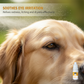 🏆ULTIMA ZI: CUMPĂRĂ 1, PRIMEȘTI 1 GRATIS!!🔥Picături oftalmice delicate pentru animale de companie🐕