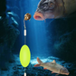 【2+3 ajándék】🐟kal növeli a horogkötési arányt - mondj búcsút a fennakadásoknak! 🎣