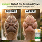 🔥Ofertă specială 50% reducere🔥 Balsam hidratant sub formă de stick pentru lăbuțele animalelor de companie – Nucă de cocos și ceară de albine, sigur dacă este lins, nu lasă urme 🐾