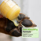 🔥Ofertă specială 50% reducere🔥 Balsam hidratant sub formă de stick pentru lăbuțele animalelor de companie – Nucă de cocos și ceară de albine, sigur dacă este lins, nu lasă urme 🐾