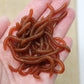 📢📢50% kedvezmény!! ⏰Simulation Earthworm puha horgászcsalik – garnélarák illatú műféreg csalik édes- és sósvízi horgászathoz, 50 vagy 100 darabos csomagban
